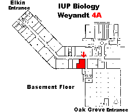 Weyandt 4A Map