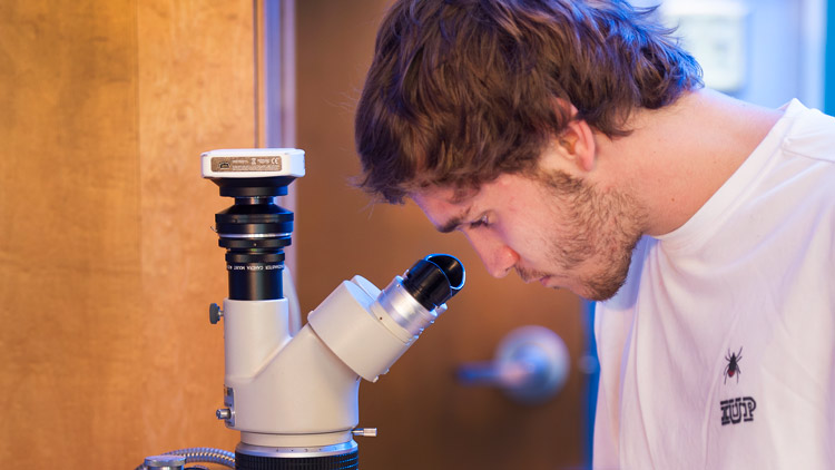A gradute biology student looks through a microscope