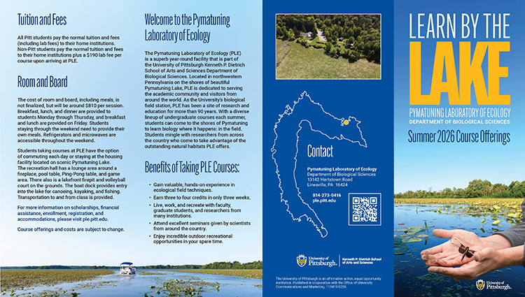 PLE Flyer Summer 2026 page1