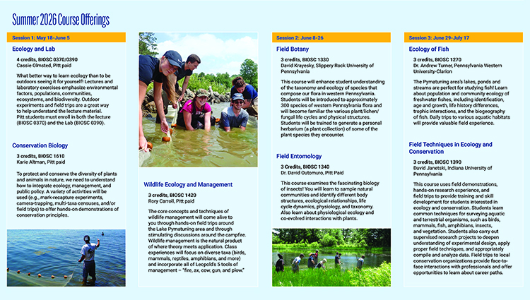 PLE Flyer Summer 2026 page 2