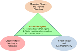 Graph of Dr Jain's research interests