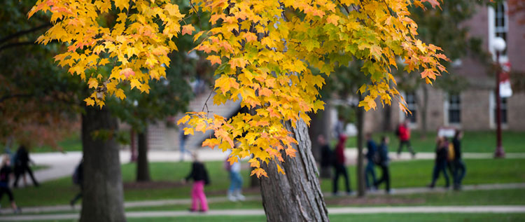 Campus scene in the Oak Grove 750px