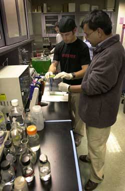 Biochemistry students doing reseach Biochemistry students doing reseach