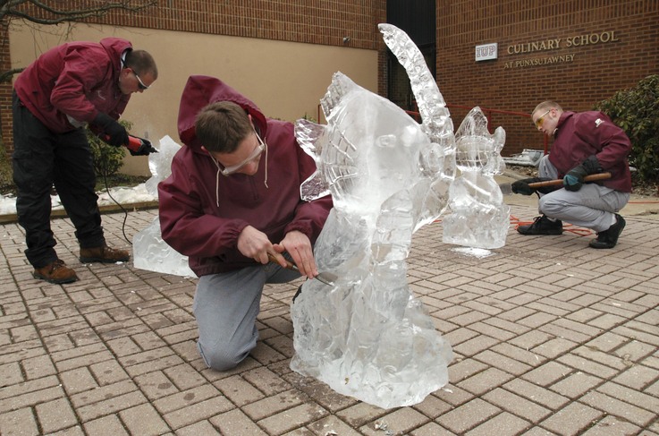 Ice Carving Club