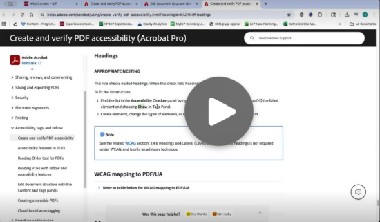 screenshot from pdf demo video