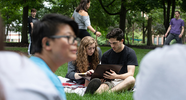 Students Studying Outside in the Sun