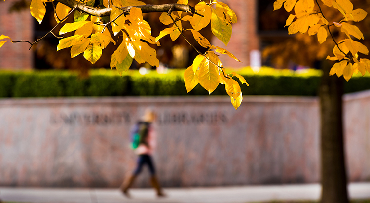 Student walking past the campus library 