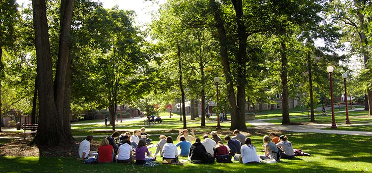 Students having class in the Oak Grove 