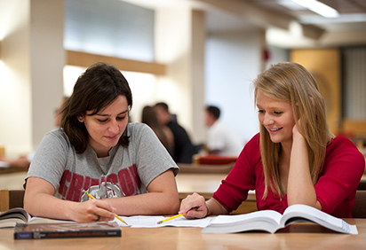 Two students studying in the library