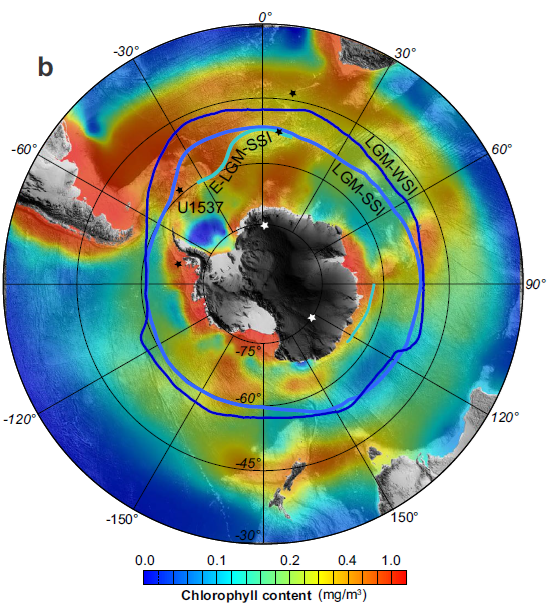 map showing chlorophyll concentrations in southern ocean