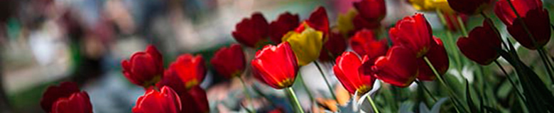 Check out information for our Graduate School and the Graduate Catalog. 