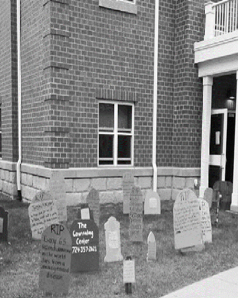 Domestic Violence Graveyard display