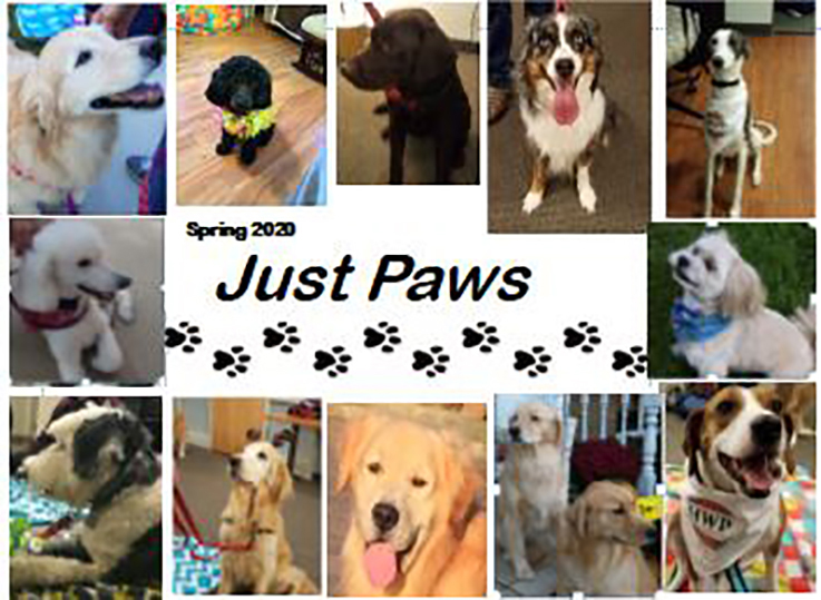 Dogs - all Just Paws Therapy Dogs for Spring 2020