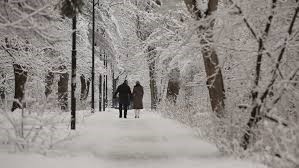 people walking through trees in the snow