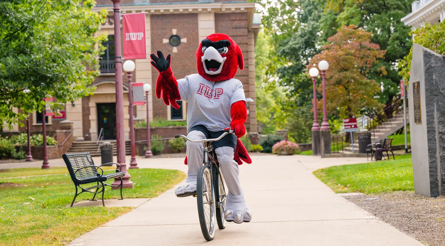 Norm riding a bike through the Oak Grove