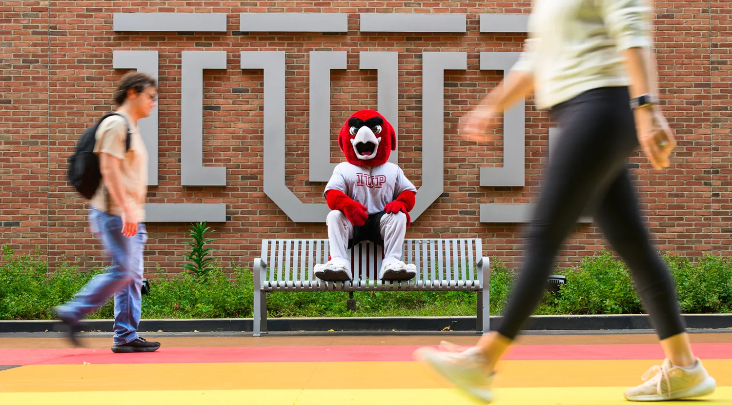 Norm sitting on top of a bench as students walk past a rainbow sidewalk