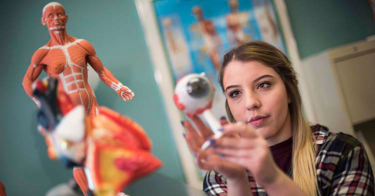 A nursing student demonstrates with a model of an eye