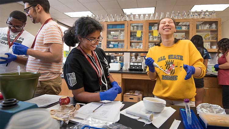Students in the Summer Honors Program share a laugh as they work together on an experiment in a lab