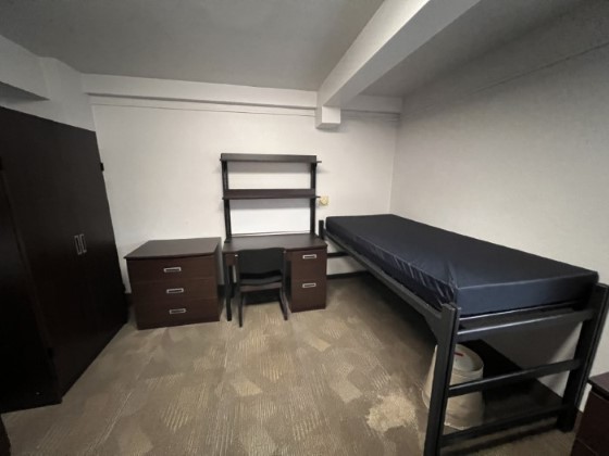 Whitmyre Hall Double Room