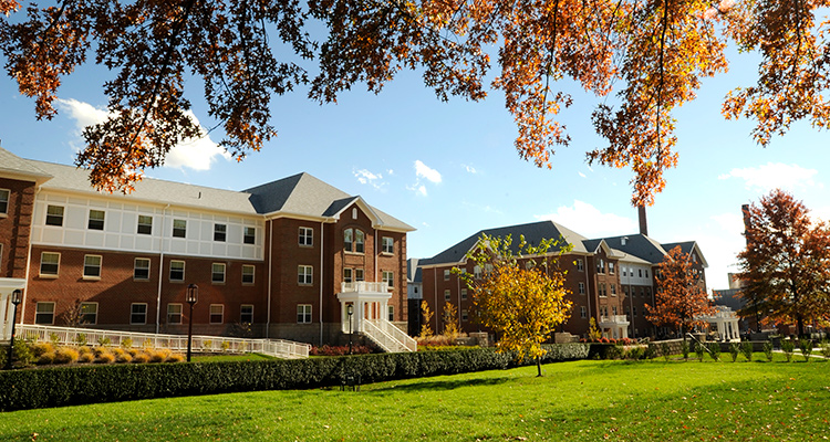 A residence hall framed by fall leaves on a tree