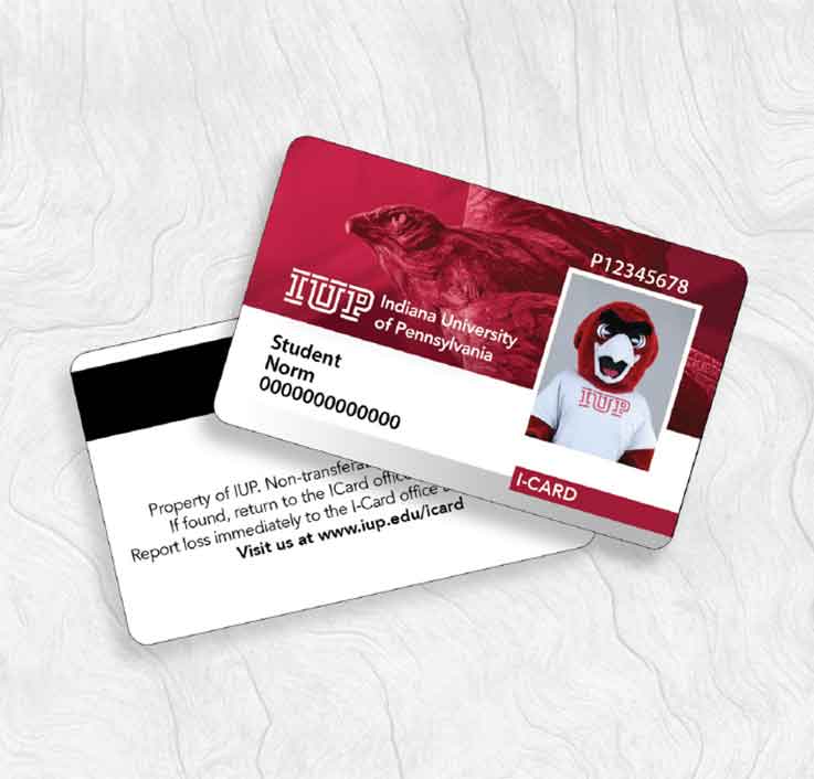 Photo of an ICard for IUP's mascot, Norm