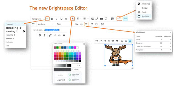 Brightspace Editor