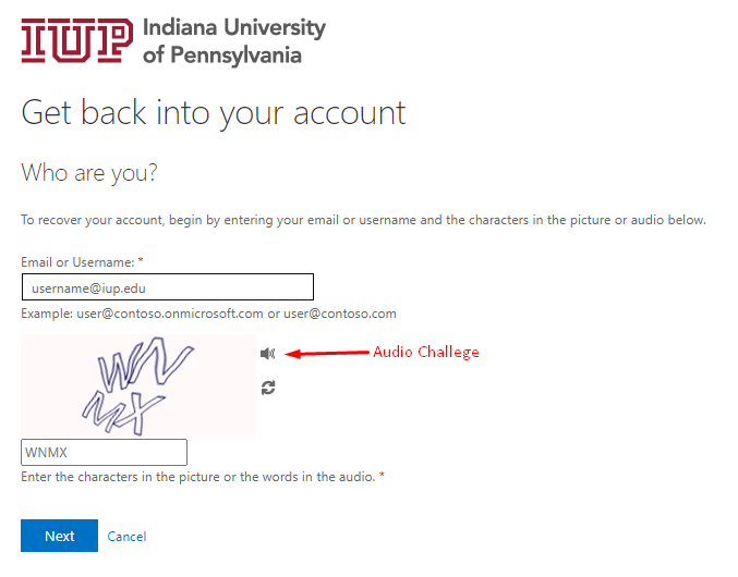 Enter the letters shown or choose the audio challenge button if needed.
