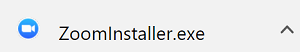Zoom Web Installer