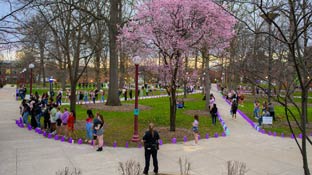 Students walking through the oak grove