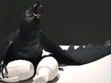 Black bird art exhibit piece Black bird art exhibit piece
