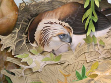 Painting of brown bird in nest 