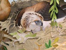 Painting of brown bird in nest Painting of brown bird in nest