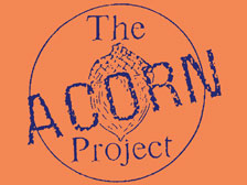 The Acorn Project