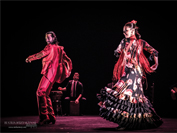 Compania Flamenca Eduardo Guerrero Presents Flamenco Pasion