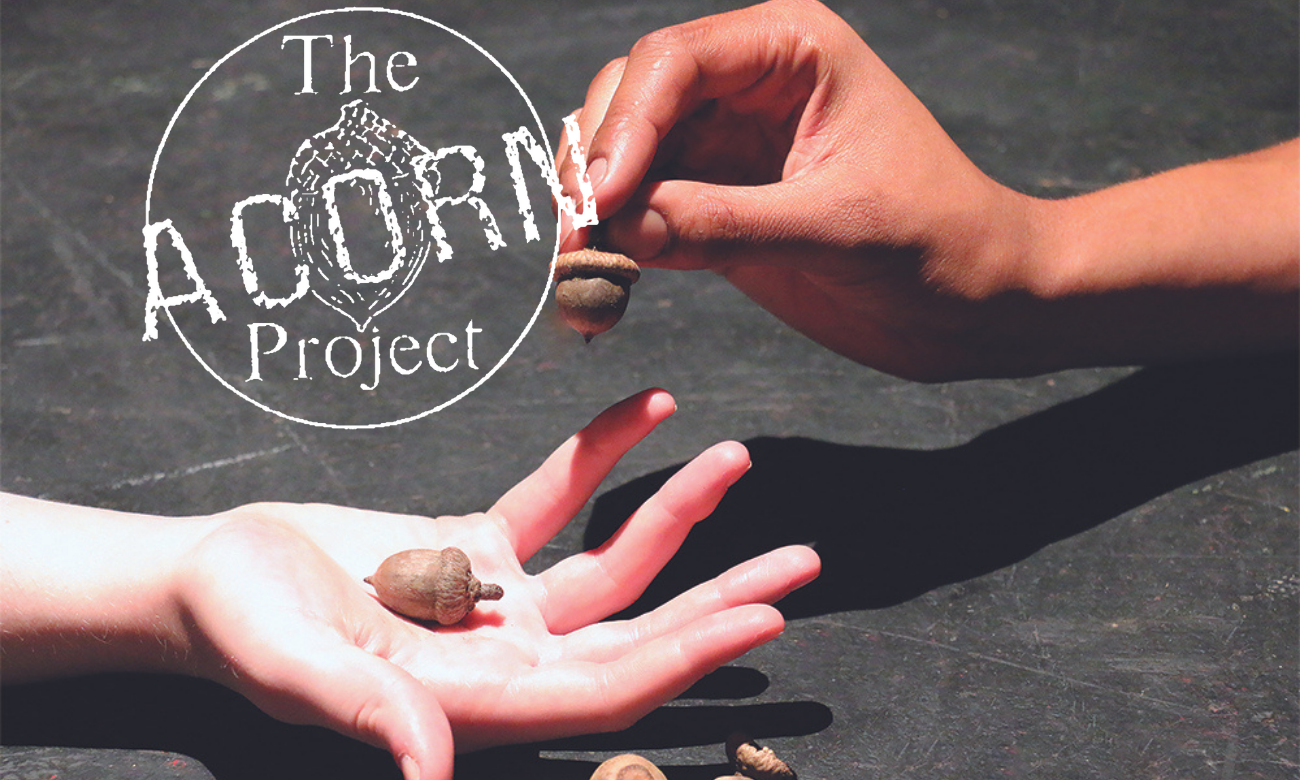 Acorn Project logo