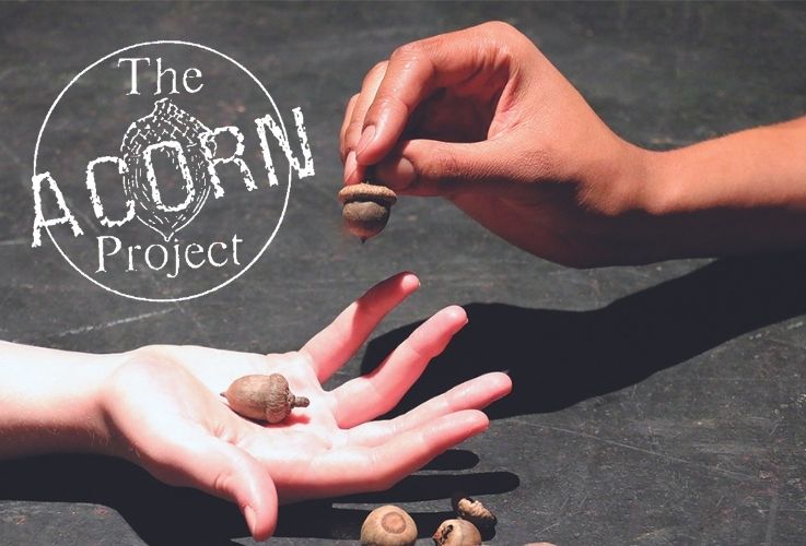 May Actions Yield Auspicious Befitting Change – An Acorn Project