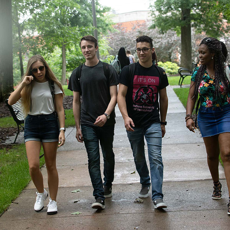 Four IUP students walking through the Oak Grove