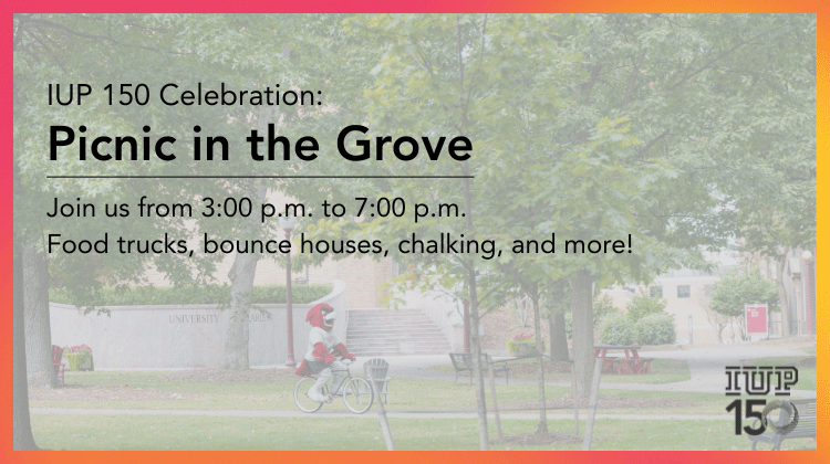 Poster for Picnic in the Grove