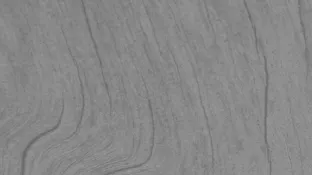 gray woodgrain