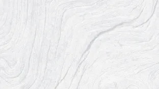 Light gray woodgrain