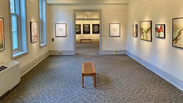 University Museum Hosts Live Artist Talk: Unveiling the "Dual Vision" Behind Visio Duplex