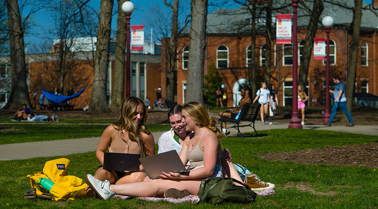 Three students sitting in the Oak Grove looking at their laptop screens.