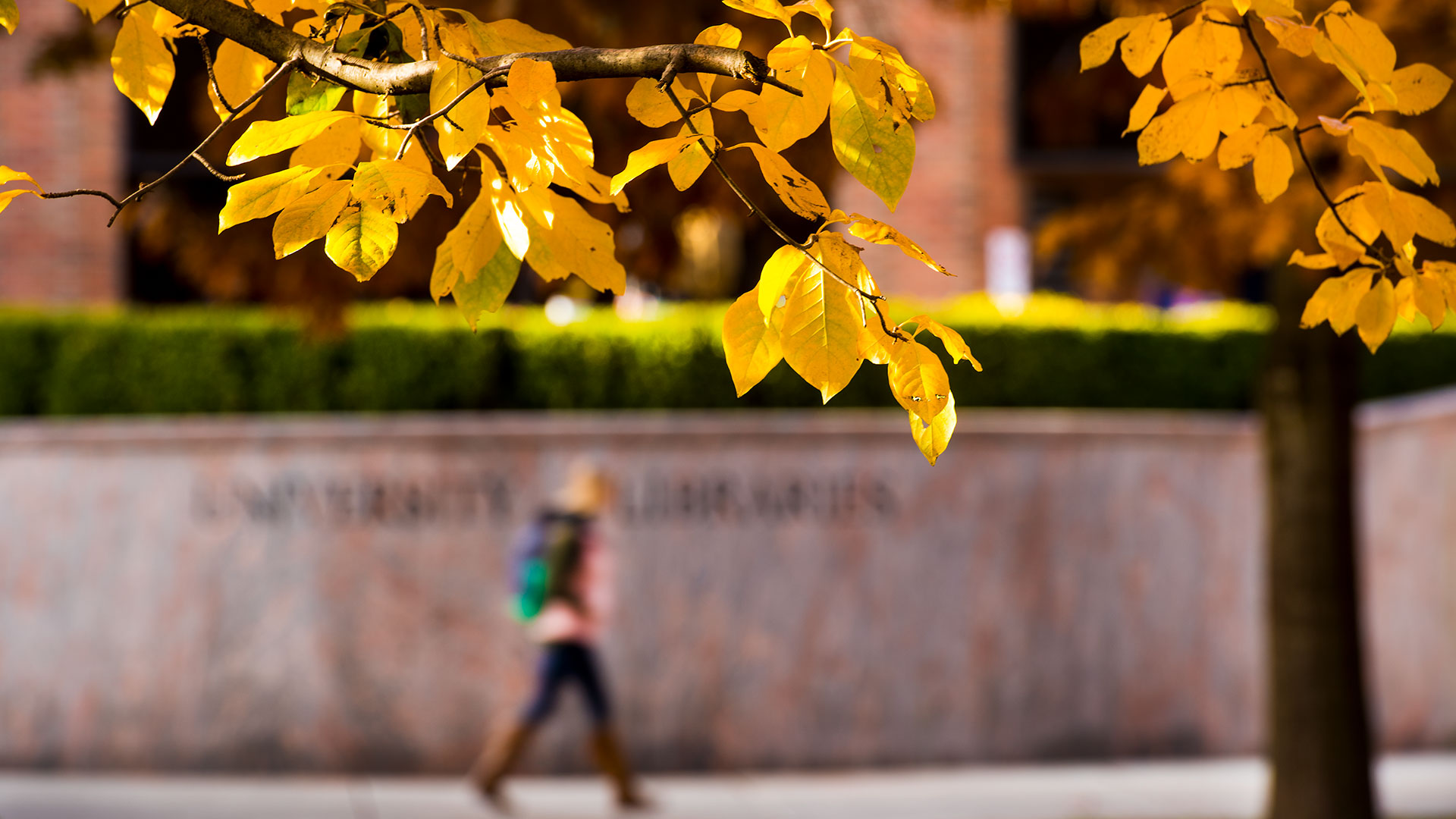 Student walking by library