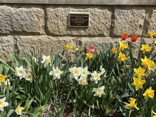 The Healing Garden