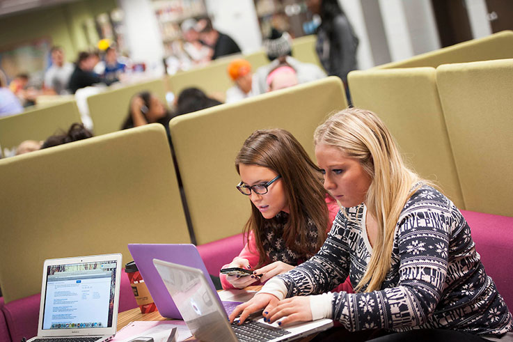 Students studying in the IUP Libraries