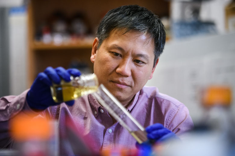 Cuong Diep working in his lab