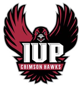 Hawk Wings Logo