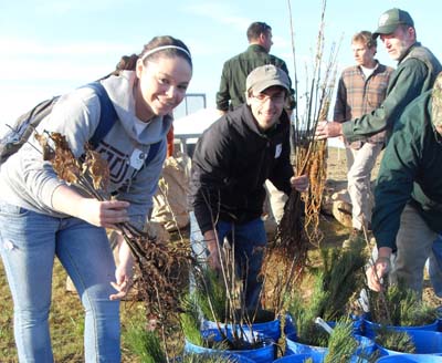 larkin_students_flight93reforest_treebuckets