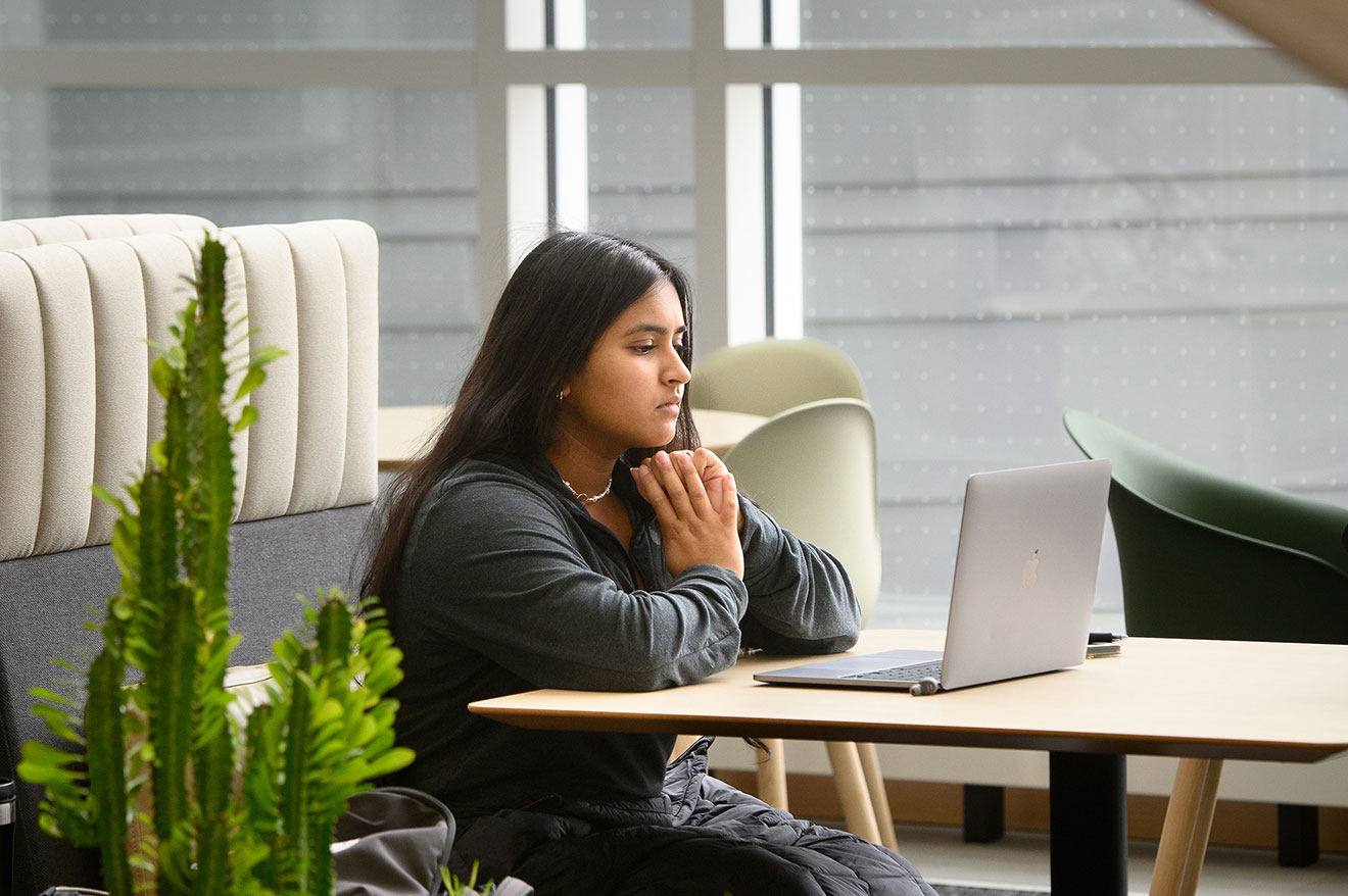 Plenty of open space is available for studying or relaxing.