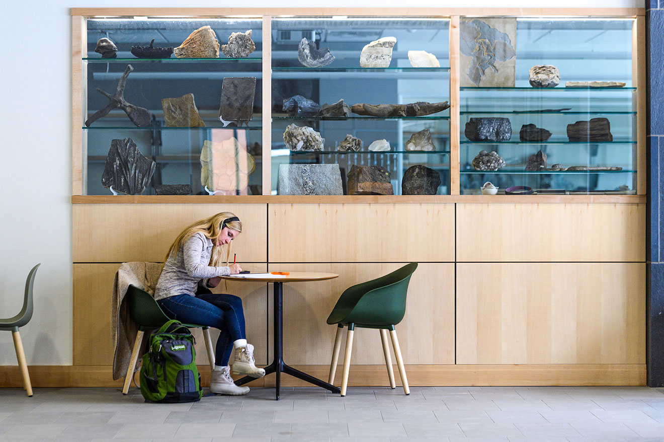 Rocks in the window hint that the Dr. Walt Granata Geological Sciences Classroom is on the opposite side of the wall. This seating area is just inside the main entrance.